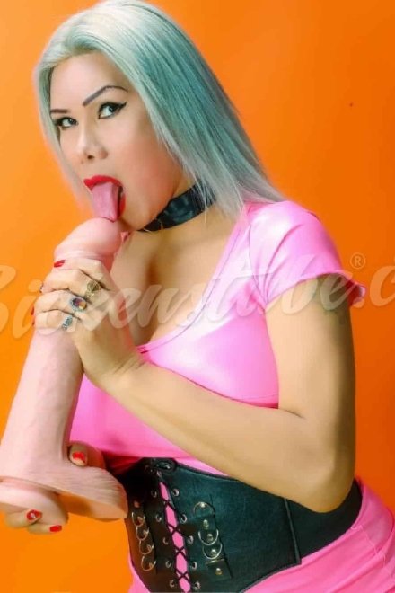 Ts Cynthia - Trans Escort Berna