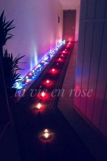 La Vie en Rose