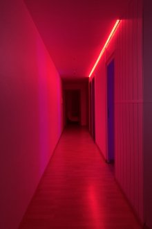 La Vie en Rose