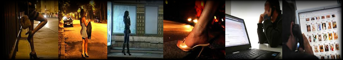 Del asfalto a la web