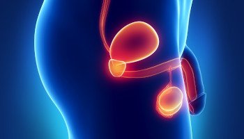 El punto P y sus secretos